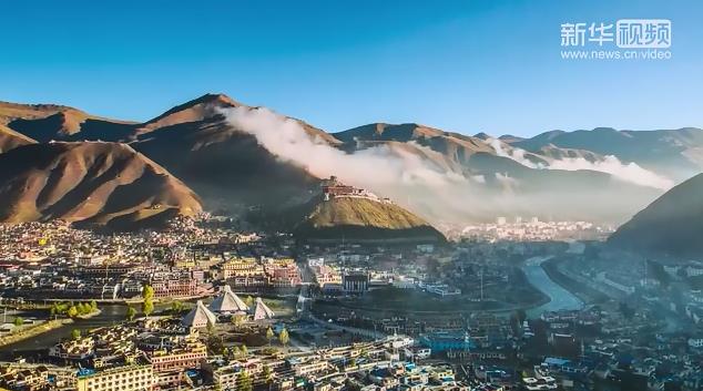 衛(wèi)星新聞丨玉樹(shù)大&ldquo;樹(shù)&rdquo;據(jù)